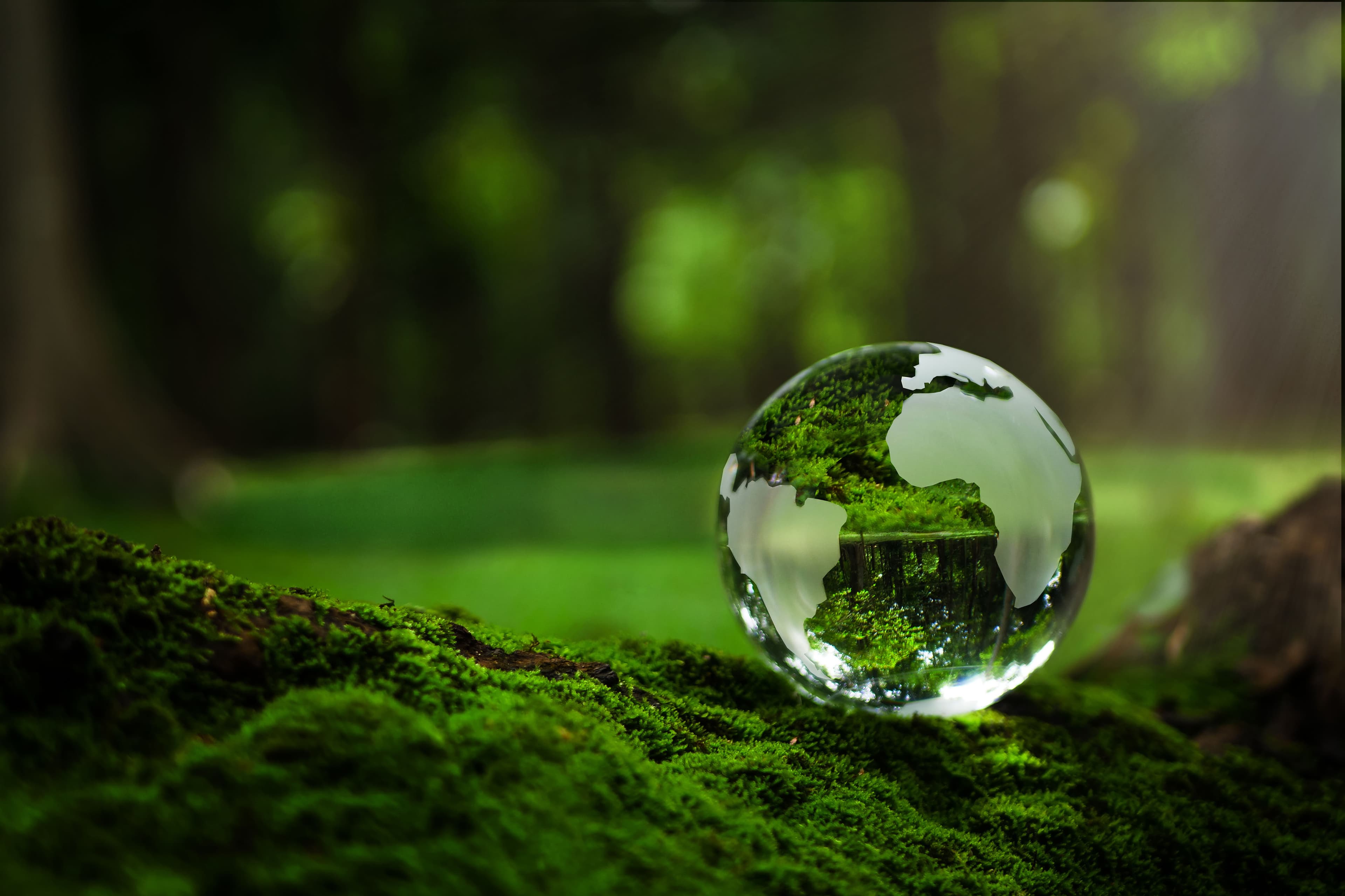 AdobeStock_543104806
