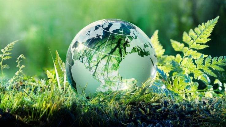 environmental